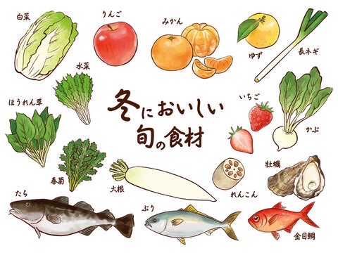 ★冬の旬の食材★