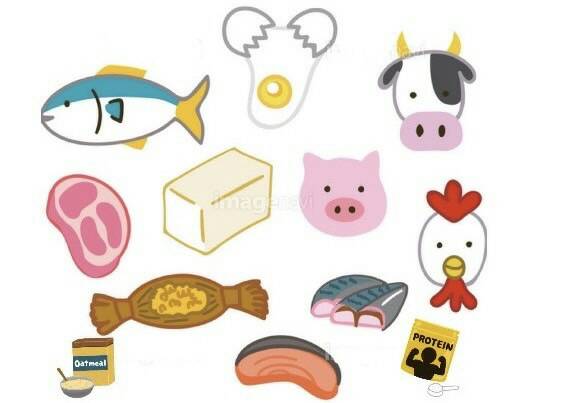 ★プロテイン★