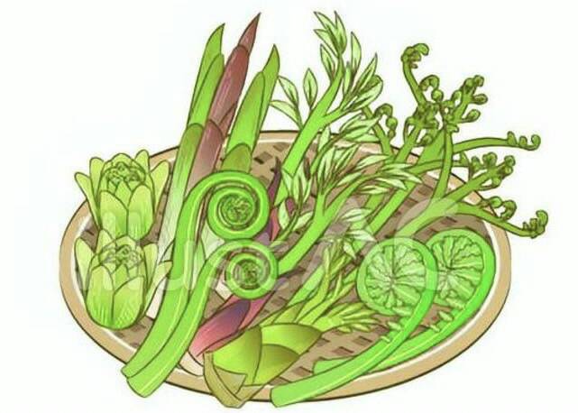 ★山菜でデトックス⁈★