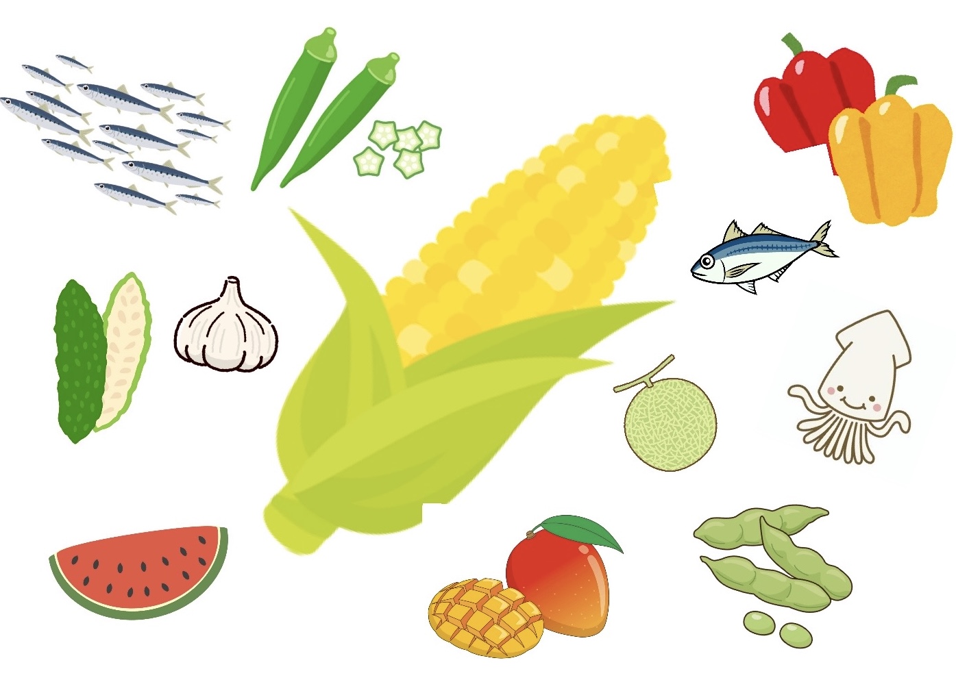 ★夏の旬の食材★